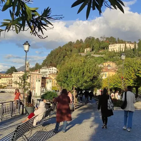Panorama *