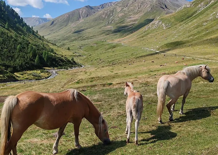 Panorama Domek alpejski *