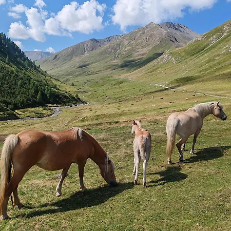 Panorama Alpstuga *